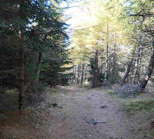 Riesengebirge/Karkonosze