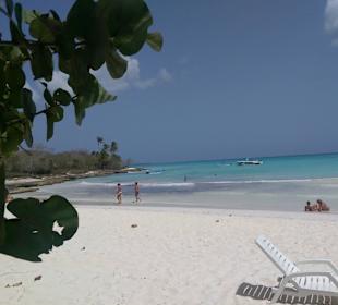 Insel Saona