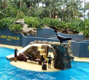 Loro Park 