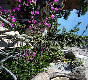 Abenteuerliche Treppe in ein Crazy House