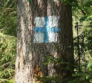 Parcul Natural Apuseni