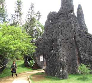  Craggy Way