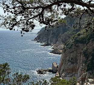 Tossa de Mar