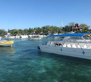 Zurück im Hafen von Bayahibe