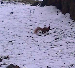 Łazienki wczesną wiosną.