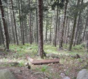 Karkonoski Park Narodowy