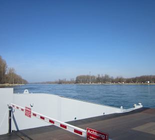 Die Rheinfähre Leimersheim