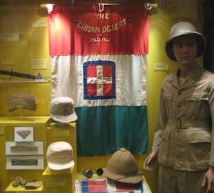 Eine der diversen Vitrinen