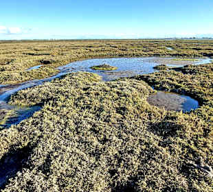 Parque Natural da Ria Formosa