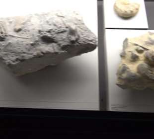 Jura-Museum