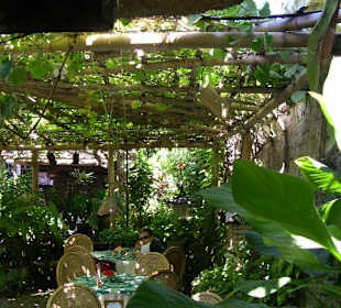 Zu Gast im "Poppies"