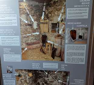 Einblicke in vergangene Zeiten