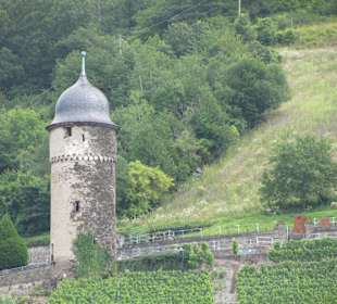Wandern Zell (Mosel)