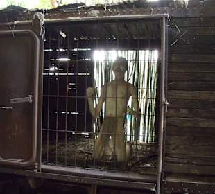 Kriegsgefangene im Zug