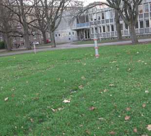 Stadtgarten Stuttgart