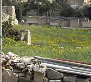 The Limestone Heritage Park & Gardens