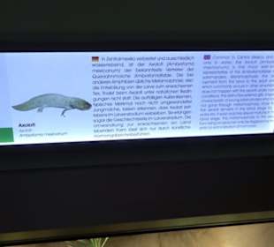 Aquarium