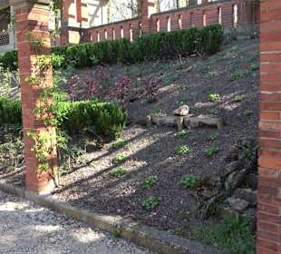 Rosengarten Villa Berg