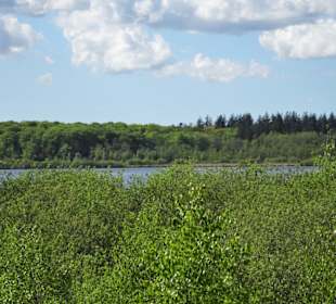 Rundgang um den Bederkesaer See