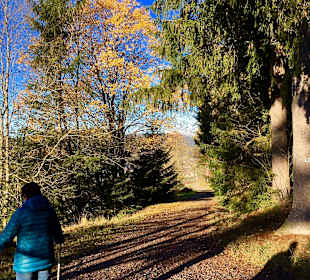 Wandern Bannwald Baiersbronn	