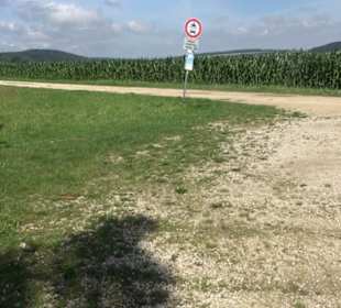 Wacholderheide Hoher Stein