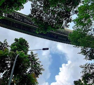 Henderson Waves Bridge