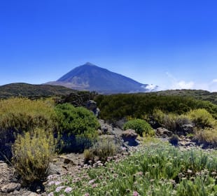 Teide Nationalpark 