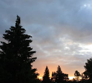 Die Umgebung beim Schwaltenweiher