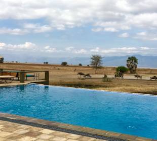 Maramboi tented lodge 