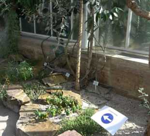 Gewächshäuser Botanischer Garten