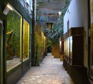 Zwierzęta w zoo