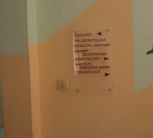 Naturhistorisches Museum