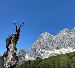 Wandern Filzmoos