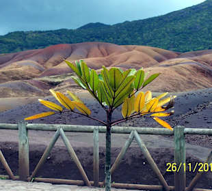 Die farbige Erde von Chamarel