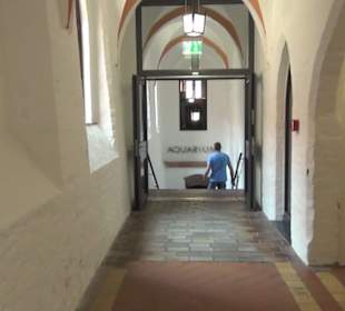 Meeresmuseum Stralsund