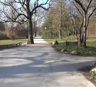 Botanischer Garten - Rombergpark