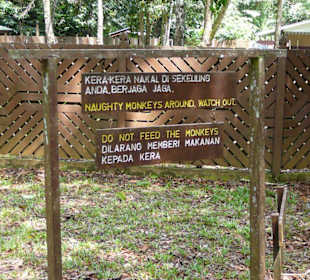 Warnung vor frechen Affen 