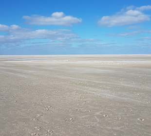 Strand Borkum