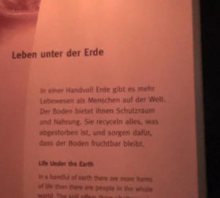 Erlebniswelt