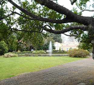 Palheiro Gardens