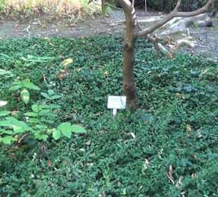 Botanischer Garten