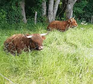 Wandern Schmallenberg