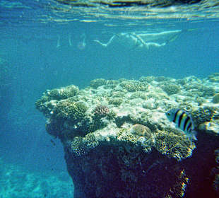 Super zum schnorcheln