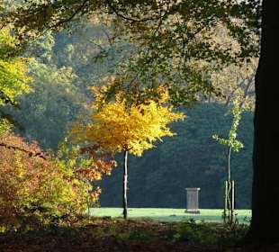 Herbstspaziergang durch den Schlosspark Lütetsburg