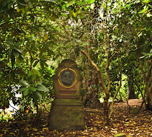 Кладбище Ольсдорф, Гамбург, 16 сентября 2013 года