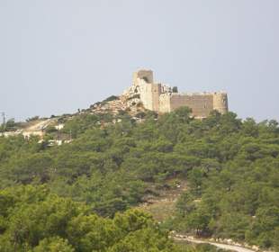 Blick auf die Burg von der Hauptstraße