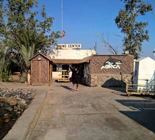 Orca Divecenter