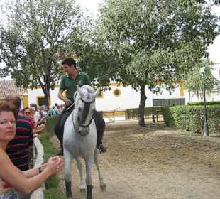 Die Pferde werden warmgeritten