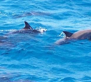 Mein schönstes Erlebniss