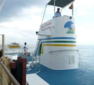 Mit dem U-Boot Fische beobachten